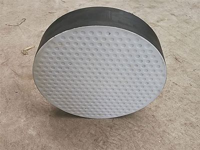 溧阳市四氟板式橡胶支座易于更换缓冲隔震